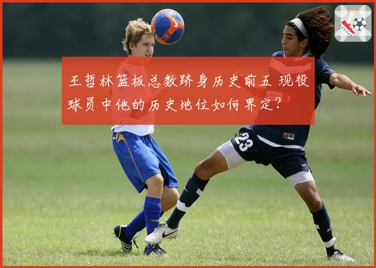 王哲林篮板总数跻身历史前五 现役球员中他的历史地位如何界定？