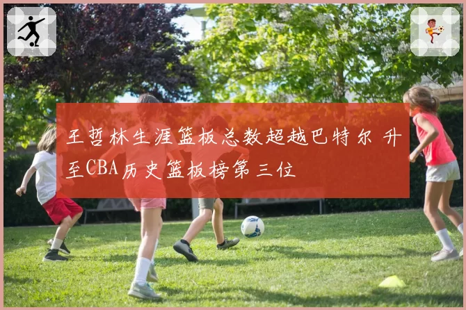王哲林生涯篮板总数超越巴特尔 升至CBA历史篮板榜第三位