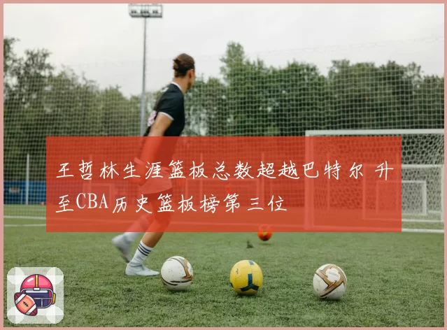 王哲林生涯篮板总数超越巴特尔 升至CBA历史篮板榜第三位