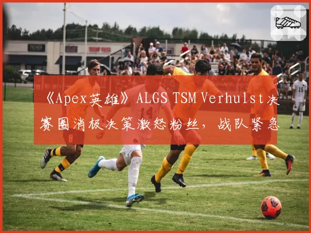 《Apex英雄》ALGS TSM Verhulst决赛圈消极决策激怒粉丝,战队紧急开会能否扭转颓势
